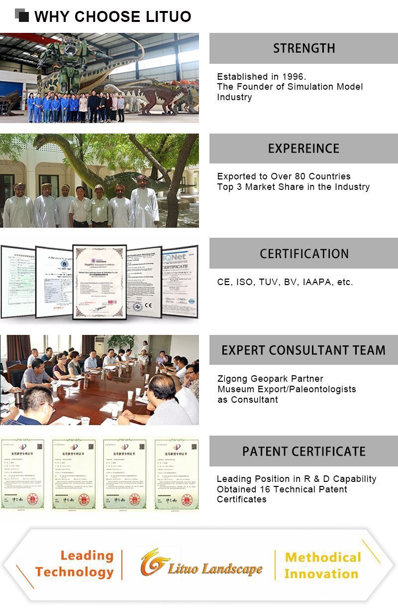 4WHY CHOOSE LITUO(001)