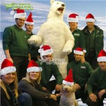 Animatronic baltasis lokys