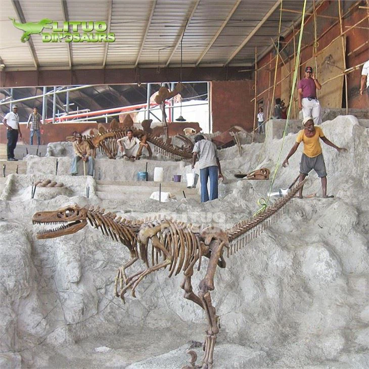3Velociraptor Fossil(001)